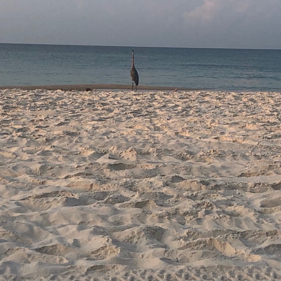 WELCOME TO MY CLOSET❤️THANK YOU FOR STOPPING BY - Picture 9 of 11